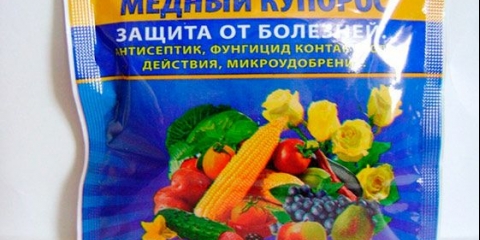 Kako i čime prskati drveće u jesen